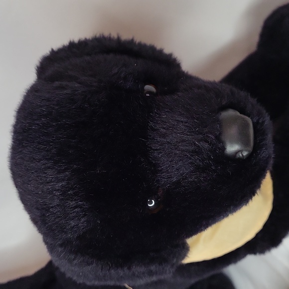 Woolrich Black Lab Dog in Bandana - Picture 4 of 11